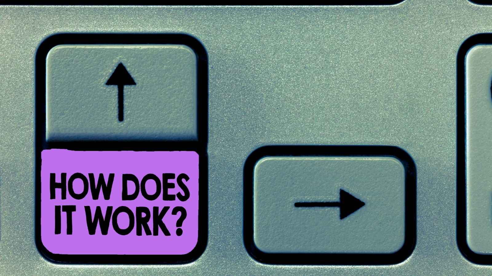 Diagramma di flusso che mostra il processo SFL, da Domanda INPS a Bonus fino a 500 euro